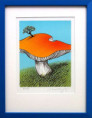 /products/josef-velcovsky-mochomurka-grafika/